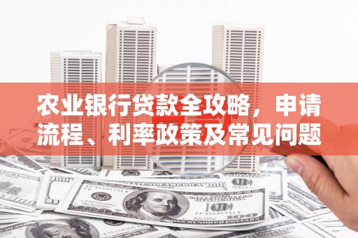 宁河农业银行贷款全攻略，申请流程、利率政策及常见问题解析
