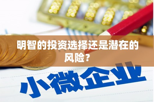宁河明智的投资选择还是潜在的风险？