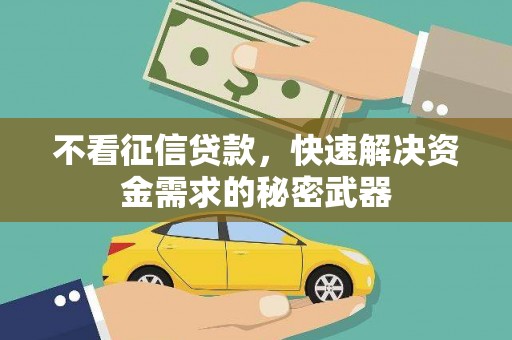 宁河不看征信贷款，快速解决资金需求的秘密武器