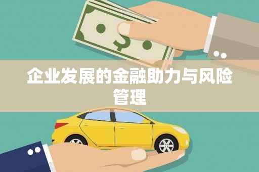 宁河企业发展的金融助力与风险管理