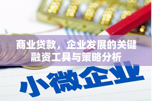 宁河商业贷款，企业发展的关键融资工具与策略分析