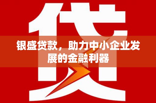 宁河银盛贷款，助力中小企业发展的金融利器