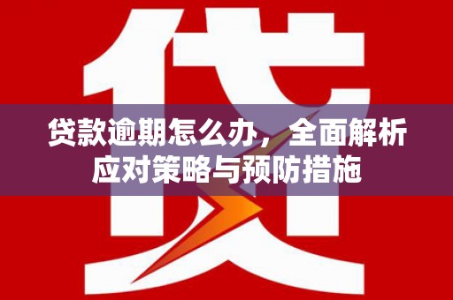 宁河贷款逾期怎么办，全面解析应对策略与预防措施