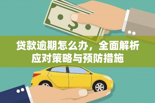 宁河贷款逾期怎么办，全面解析应对策略与预防措施