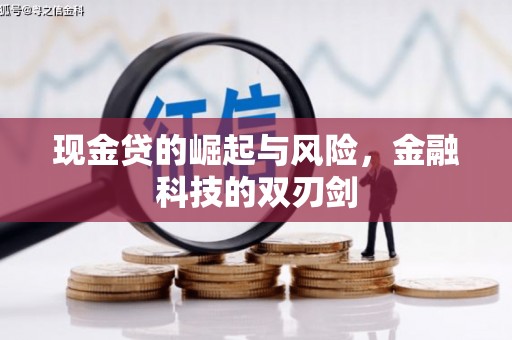 宁河现金贷的崛起与风险，金融科技的双刃剑
