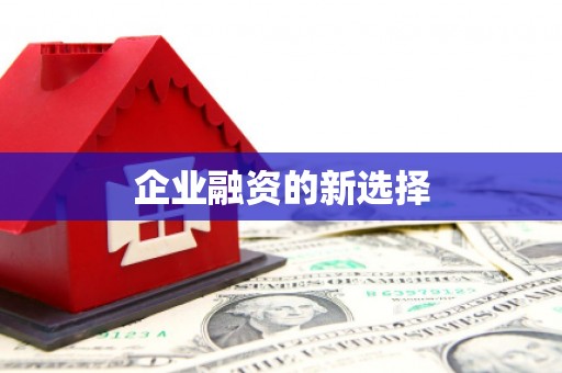 宁河企业融资的新选择