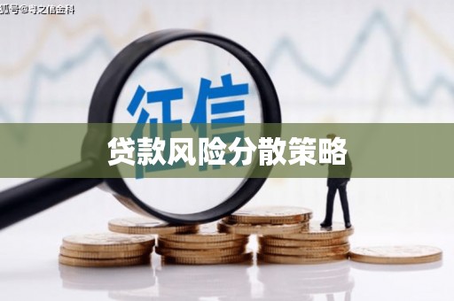 宁河贷款风险分散策略