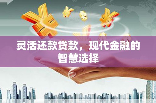 宁河灵活还款贷款，现代金融的智慧选择