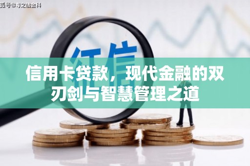 宁河信用卡贷款，现代金融的双刃剑与智慧管理之道