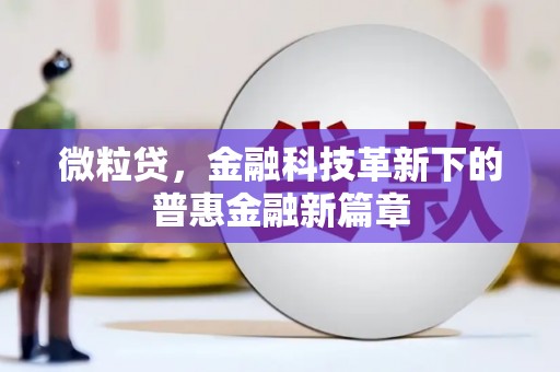 宁河微粒贷，金融科技革新下的普惠金融新篇章
