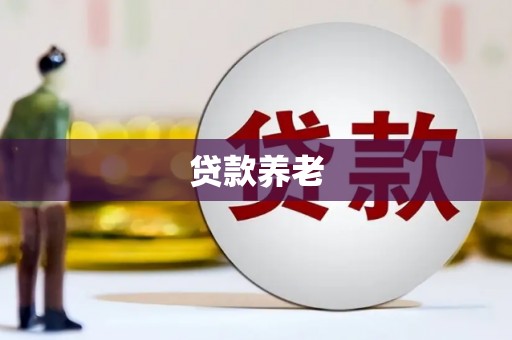 宁河贷款养老