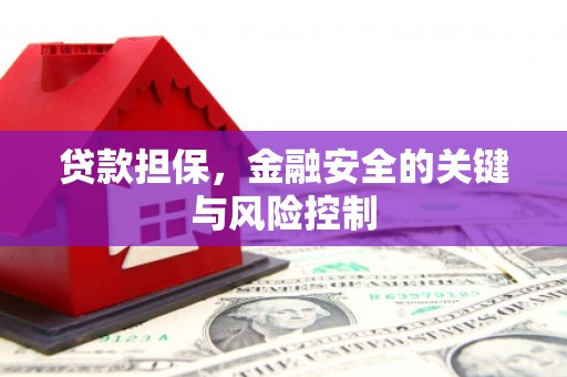 宁河贷款担保，金融安全的关键与风险控制