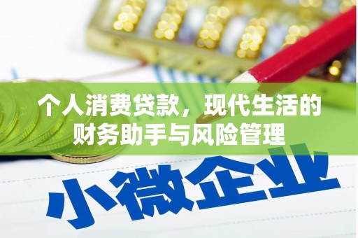 宁河个人消费贷款，现代生活的财务助手与风险管理
