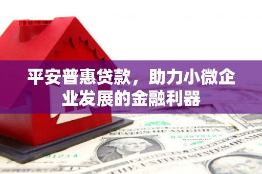 宁河平安普惠贷款，助力小微企业发展的金融利器