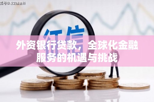 宁河外资银行贷款，全球化金融服务的机遇与挑战