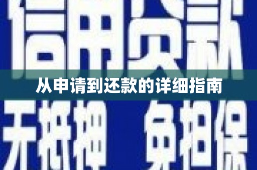 宁河从申请到还款的详细指南