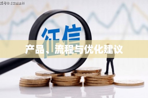 宁河产品、流程与优化建议