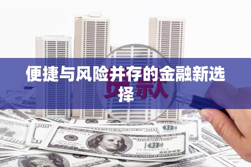 宁河便捷与风险并存的金融新选择