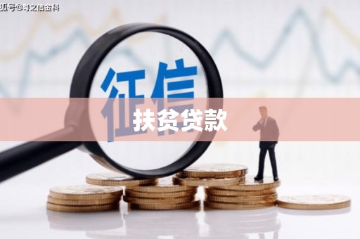 宁河扶贫贷款