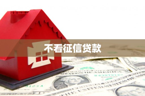 宁河不看征信贷款