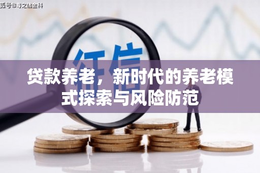 宁河贷款养老，新时代的养老模式探索与风险防范