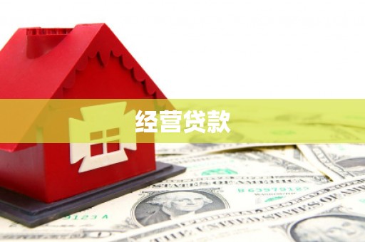宁河经营贷款