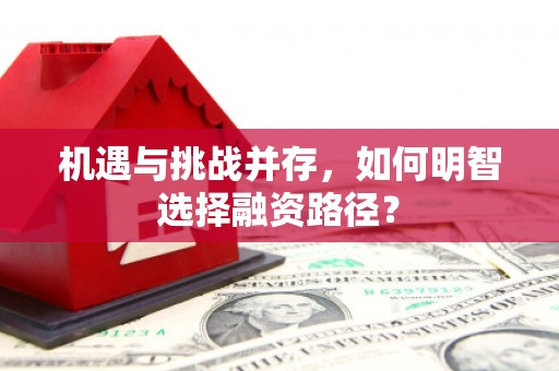 宁河机遇与挑战并存，如何明智选择融资路径？