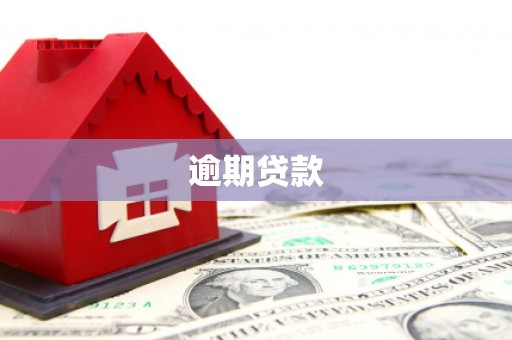 宁河逾期贷款
