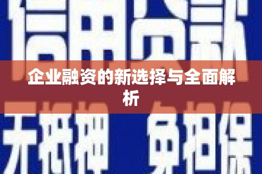 宁河企业融资的新选择与全面解析