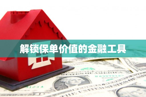 宁河解锁保单价值的金融工具