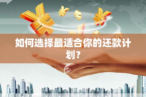 宁河如何选择最适合你的还款计划？
