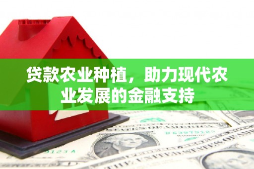 宁河贷款农业种植，助力现代农业发展的金融支持